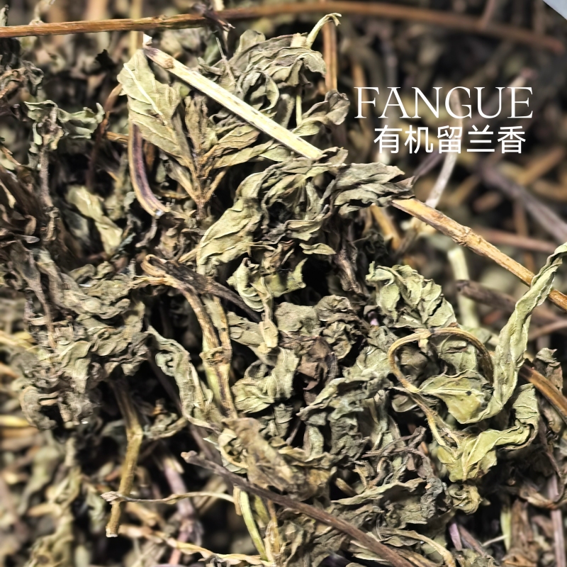 Yj Spearmint Leaves, Pesticide-Free, High-Quality Dried Branches and Leaves, Fresh Aromatic Spice Ingredients