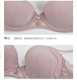 Daihei Label Series Contruine Exquisite Lace Big Martts показывает небольшие ультратонкие параллельные сексуальные груди 16-8266