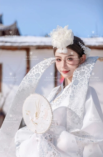 Принцесса Янджи Ханбок Фотография Фотография Фотография Фотография Фотография Корейское национальное платье дворца Традиционные дамы ежедневные фотопроводимость