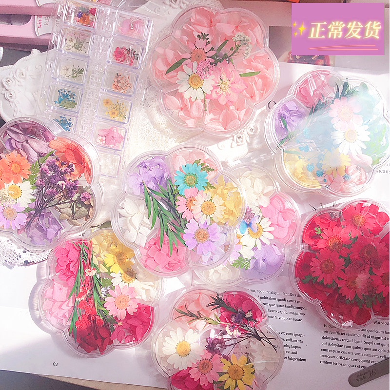 Dry flower sticker face photo fairy wind ins Sen department photo bride petal makeup jewelry eye corner face decoration decal