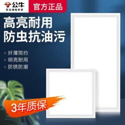 Bull Brand Integrated Ceiling Led Light 30X30 Embedded Bathroom Flat Panel Light Ceiling Light 300×600 Kitchen Light