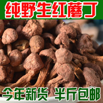 New Cargo Wild Red Mushroom Red Chicken Blood Mushroom Meat Mushroom Red Pine Umbrella Mushroom Tin Hazelnut Mushroom Dry Goods 250g