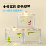 Thai Douyu Tank House Crab Crab Box Gacks Изоляция выделенного акрилового экологического ландшафта