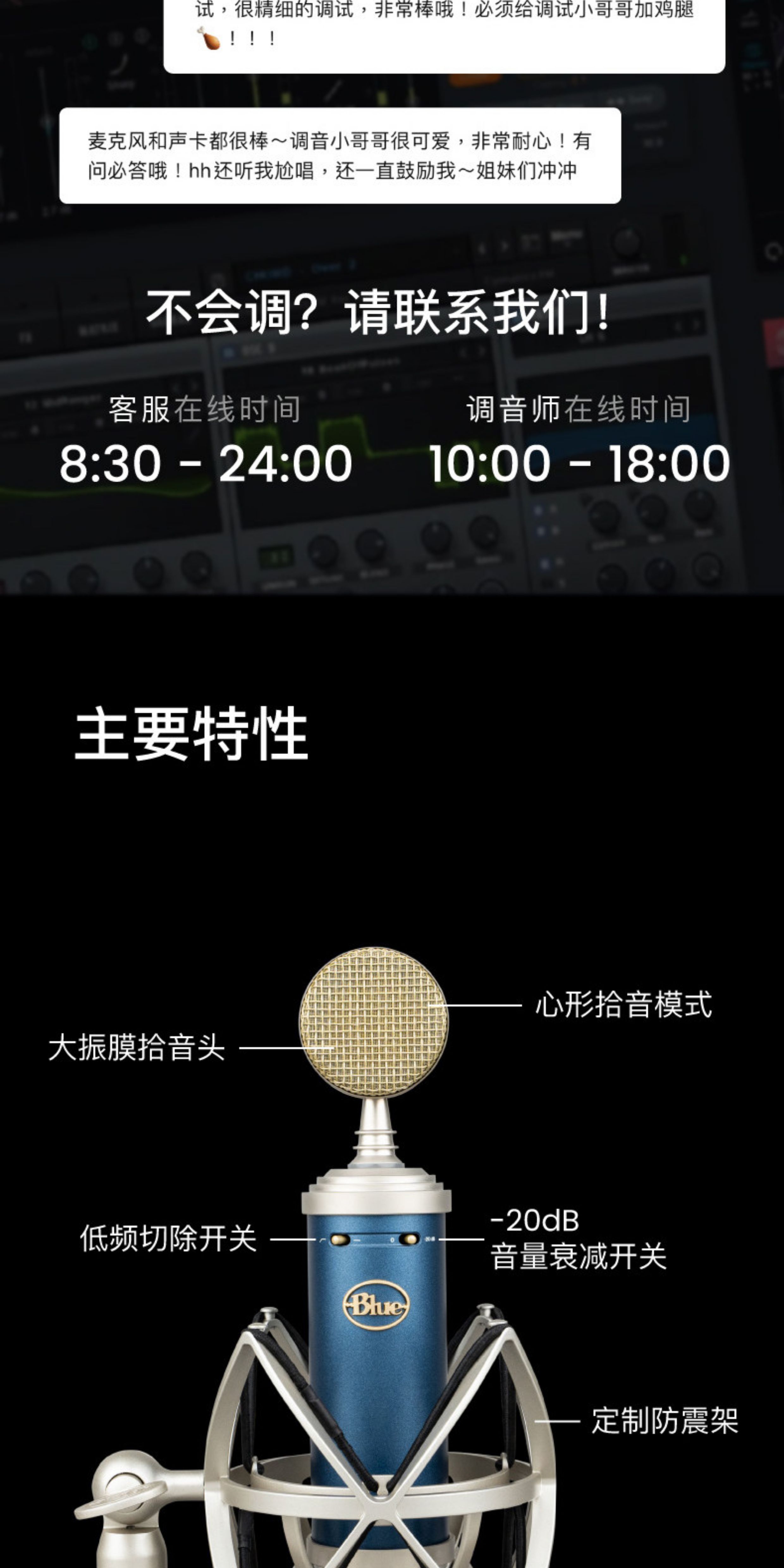 BlueBird SL蓝鸟电容式麦克风专业话筒直播游戏K歌录音说唱