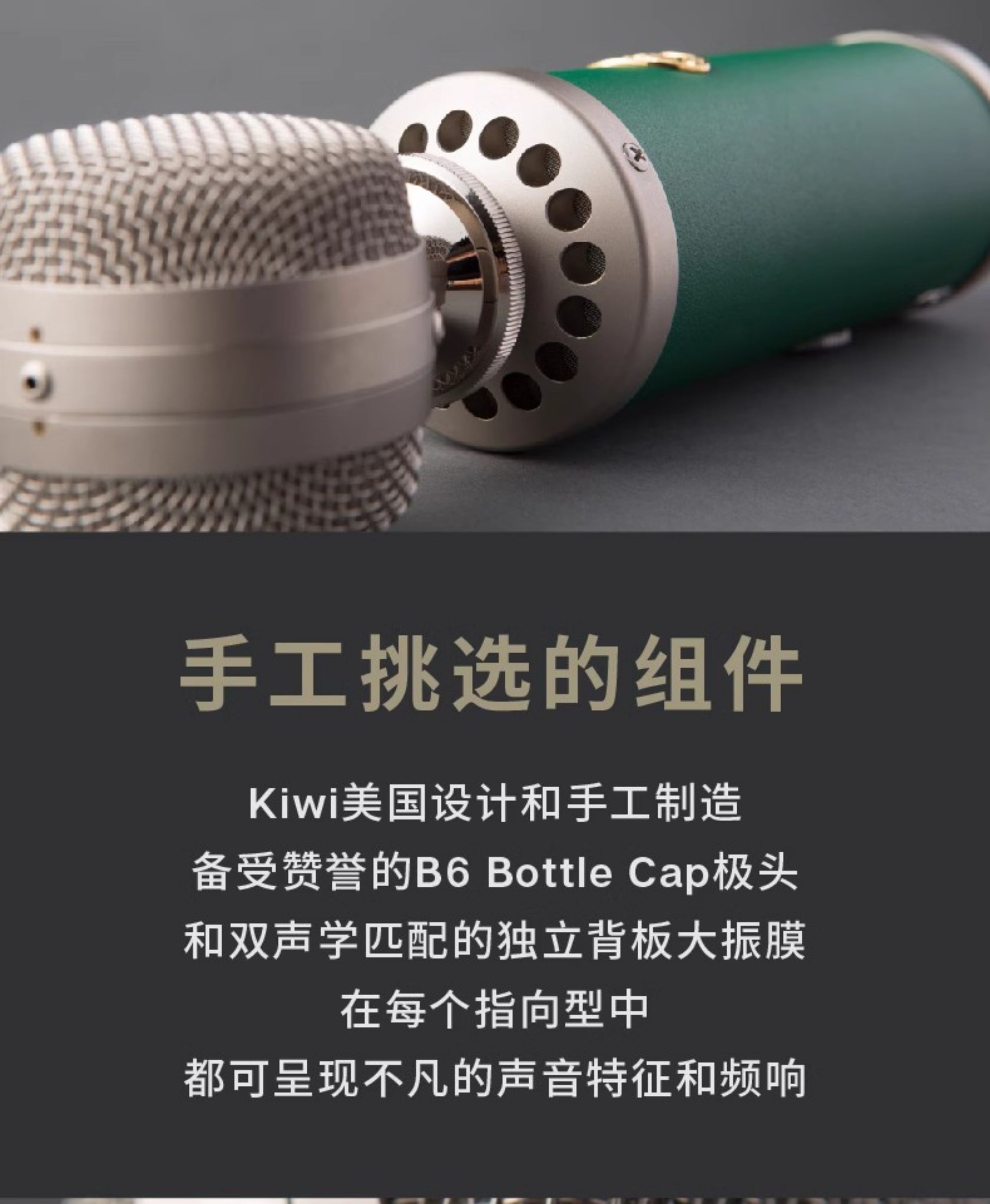 Blue Kiwi专业电容麦克风主播手机直播K歌有声书大振膜话筒