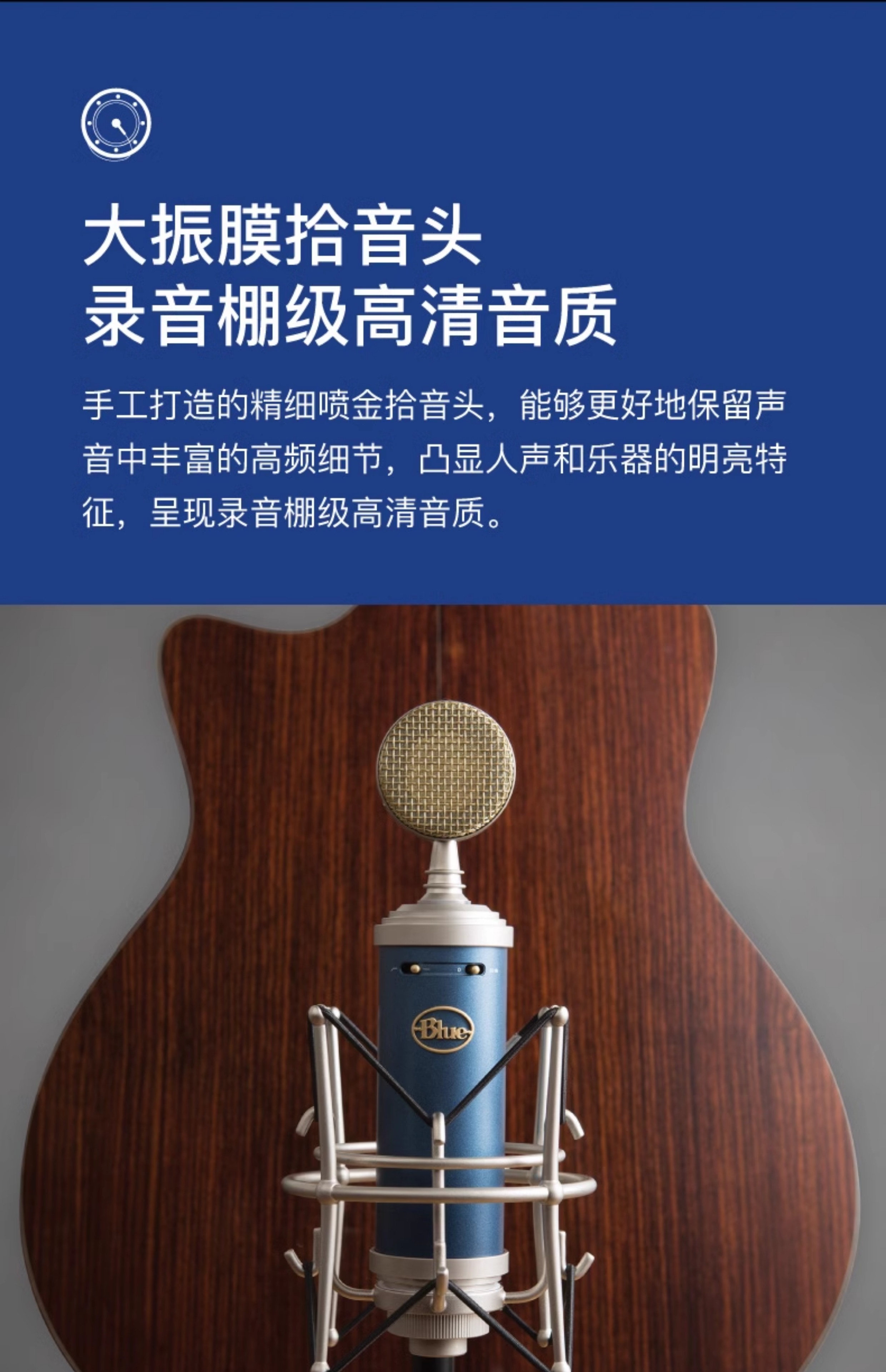 Blue BlueBird SL蓝鸟电容式麦克风专业话筒直播游戏K歌录音插图7