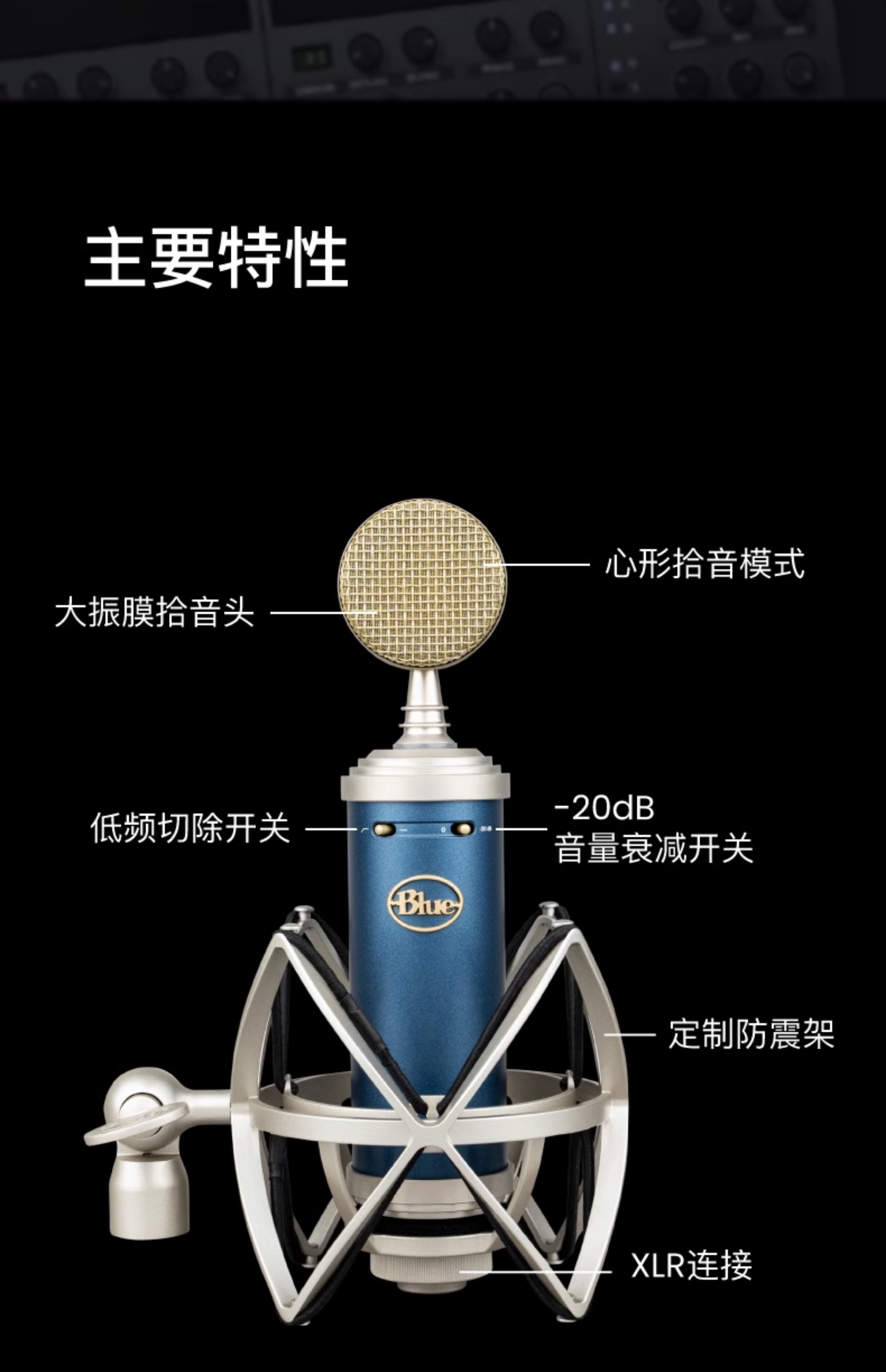 Blue BlueBird SL蓝鸟电容式麦克风专业话筒直播游戏K歌录音插图5