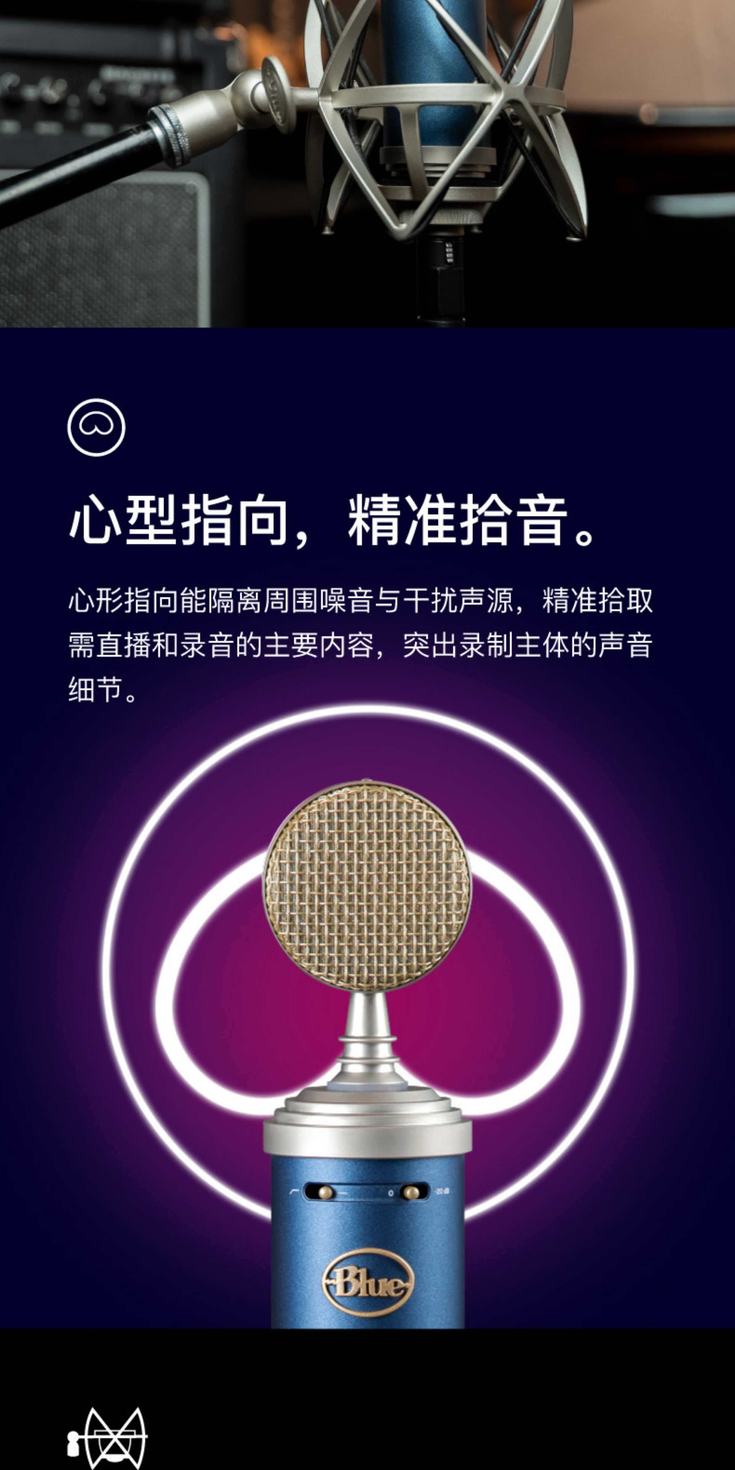 BlueBird SL蓝鸟电容式麦克风专业话筒直播游戏K歌录音说唱