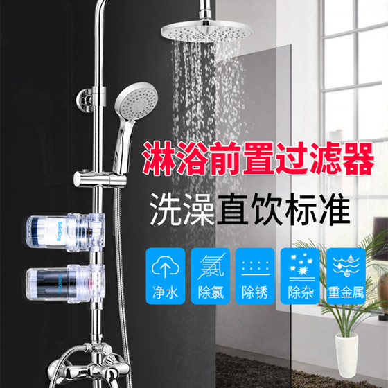 BidetKing热水器除垢阻垢器除氯前置洗衣机净水过滤器自来水龙头