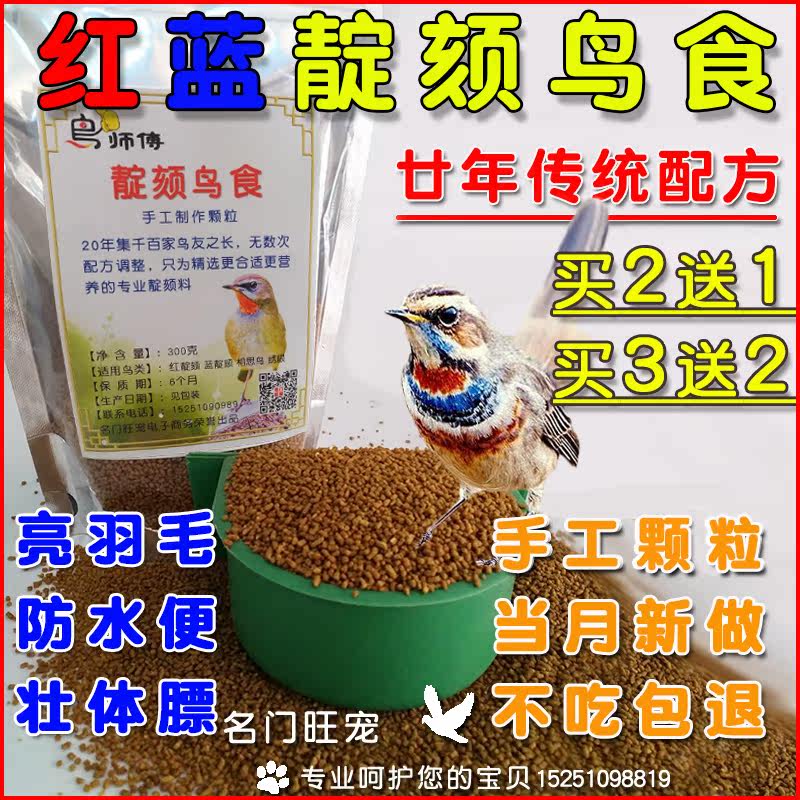 Red indigo chin and blue indigo chin bird eater master chin feed red chin bird food blue chin bird food red neck blue neck bird