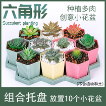 Fleshy flower pot special meat plant size creative color balcony set combination simple resin Basin