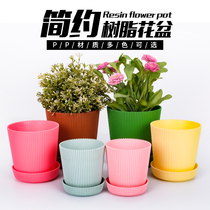 Plastic resin tray flower slot Flower Pot Pot Pot succulent plant planting Mini small flower pot with tray