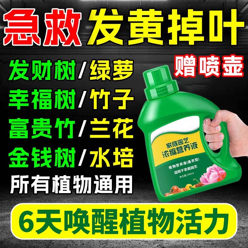 营养液植物通用型花肥发财树富贵竹绿萝水培盆栽家用花卉养花肥料