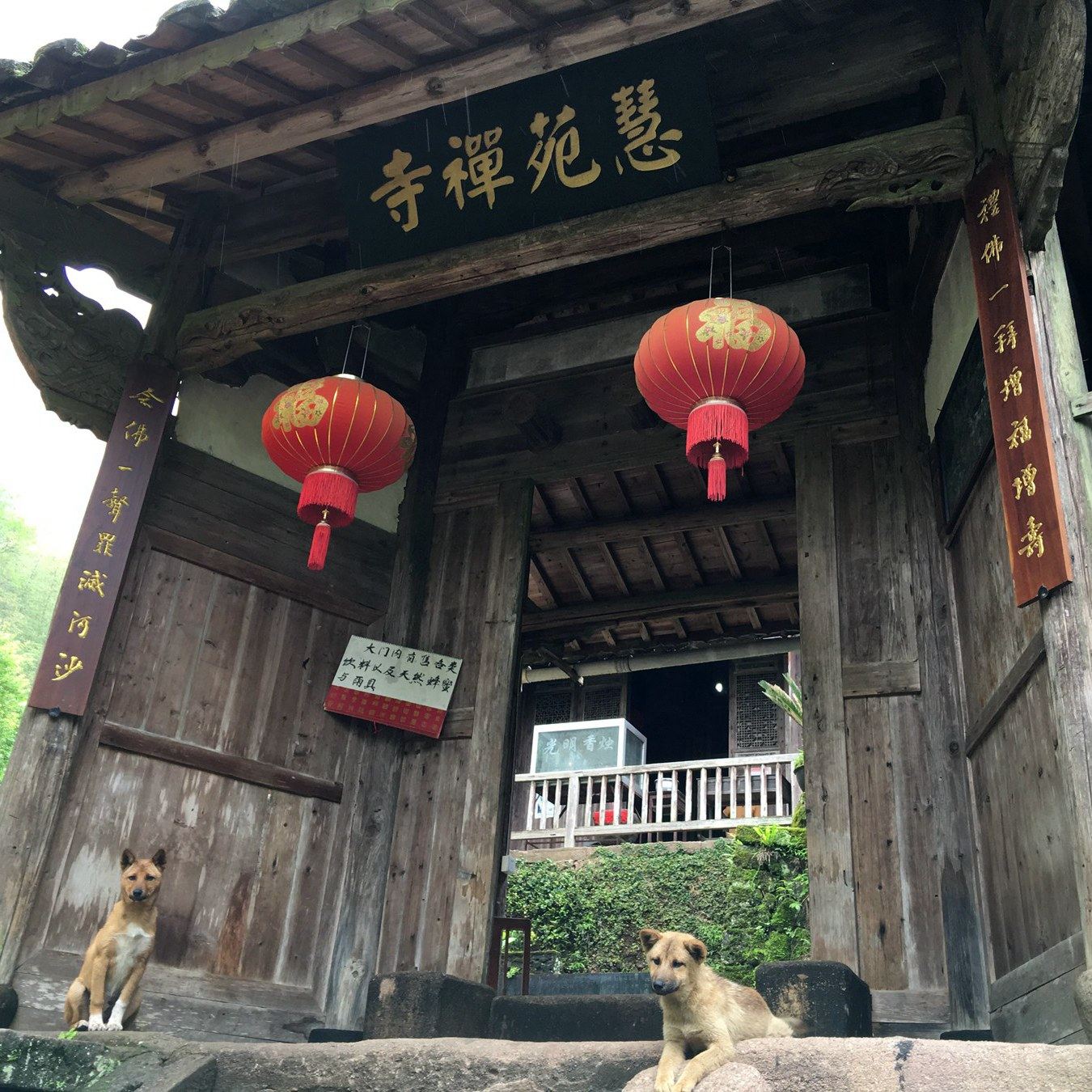 (Xiaoshan Hall)Wuyi Mountain rock tea Huiyuan Narcissus three pits two streams Zhengyan Dahongpao Black tea 8 5g * 16 bubbles