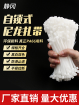 Nylon Colored Tie 3 (2 5) * 150mm National Label Self-locking small strap plastic 100 Root