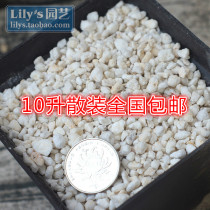 Lilys-Asahi(Perlite) - Loose Breathable Modified Soil 10 Liters in Bulk Nationwide