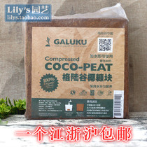 Lilys-Imported Gelugu coconut powder brick coconut shell brick-5kg a Jiangsu and Zhejiang Shanghai