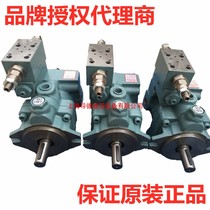 HHPC Taiwan Xuhong P46-B3H-ED3-F-R P46-CL1-H3-F-R-01