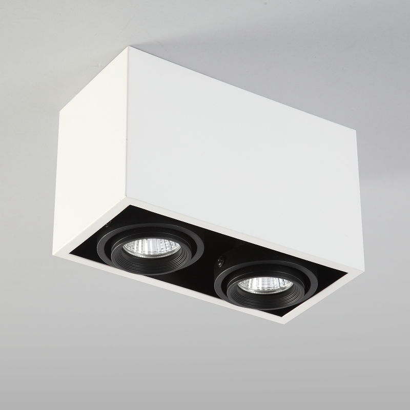 West Asia Lamps And Lanterns Double Headed Led Ceiling