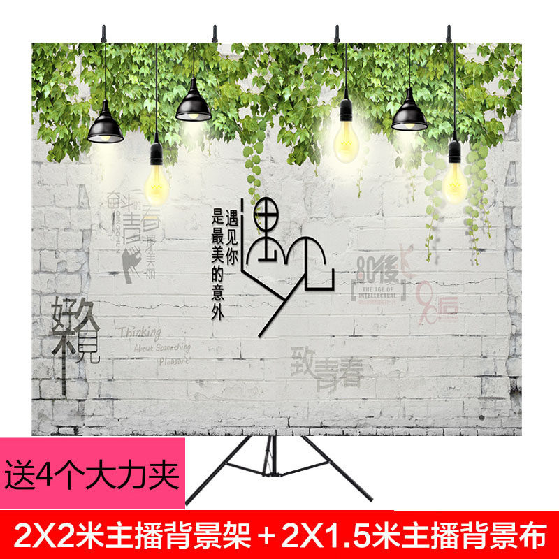 2 m T type anchor background bracket YY Internet anchor background cloth 3d male and female live background cloth bracket suit