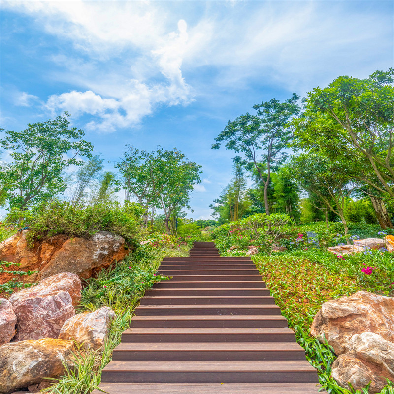 2022 new Internet celebrity anchor stereo live room park lotus pond grassland outdoor scenery 3D background cloth