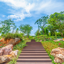 2022 New Internet Red anchor Stereo Interplay Park Lotus Pond Prairie Outdoor Scenery 3D Background Cloth