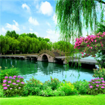 Net red male and female direct sowing room main sowing decorative wall cloth fast hand shake-up background wall Landscape Landscape 3d Background cloth