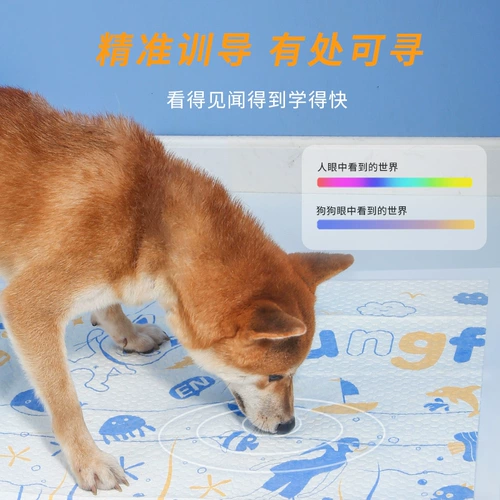 ПЭТ -Индуцированные мочи подушки мочи Движение кишечника, Туалеты для тренировок с целевым сердечным