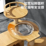 Коротко -сборочная кошачья стойка для кошачья кошачья кошачья кошачье дерево интегрированная платформа Mankang Коротколога с коротки