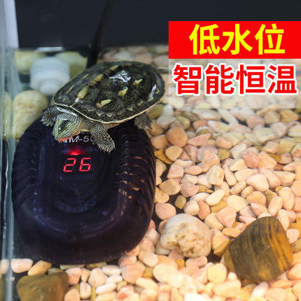 Turtle Cylinder Small Heating Rod Low Water Level Automatic Thermostatic Heater Intelligent Temperature-controlled Tortoise Tank Fish Tank Heating Stick