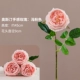 Auspin Rose [светло -розовый]