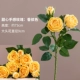 Sweetheart Rose