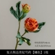 Retro Coke Bian наложница Paeonia [Orange]