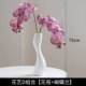Floral D Group [Hua Bottle+Phalaenopsis]