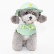 Spring and summer new pet hats dog hats puppy sun hats melon skin hats small dog hats pet accessories
