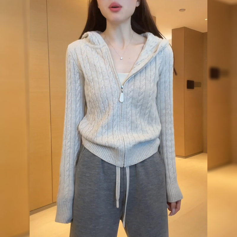 Twist Embroidery Zipper Hooded Sweater for Women, Autumn Knitted Jacket, 2026 New Korean Style, Elegant and Slimming Top