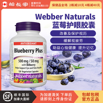 Shunfeng direct mail Canada Webber Naturals Weibo blueberry capsule 500mg120 capsules