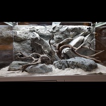 Swedish BTN stream 3D Water ethnic background plate Back to Nature fish tank Neoscape material background wall