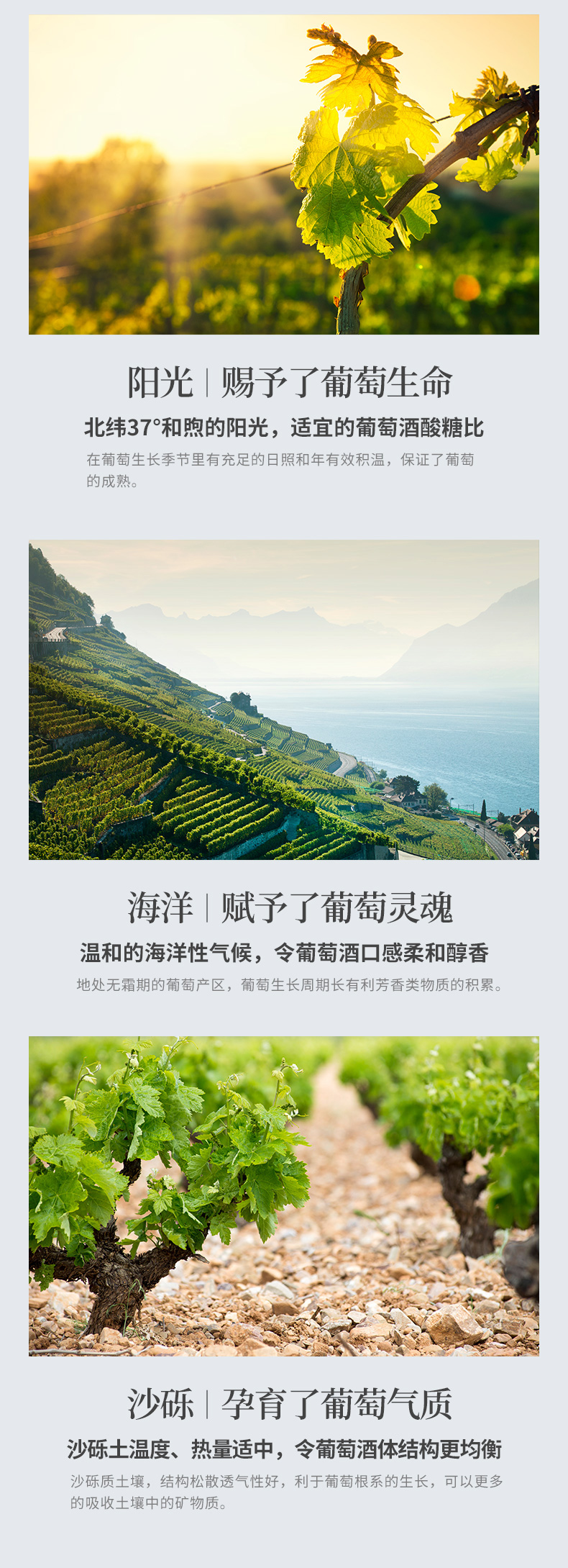 中粮长城 精选级 北纬37赤霞珠干红葡萄酒 750ml*6支 图8