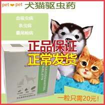 Heart-flattering pet dog kittens with body insect repellent drug parasites Large small canines Golden Caterpillar Teddy Beat drug 1 grain