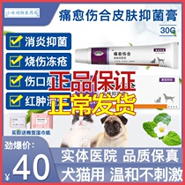 Pet Dog Cat Wound Healing Injury Anti-inflammatory Traumatized Skin Eczema Abscess Postoperative Decaying Abscany Ointment
