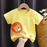I040-Little Lion