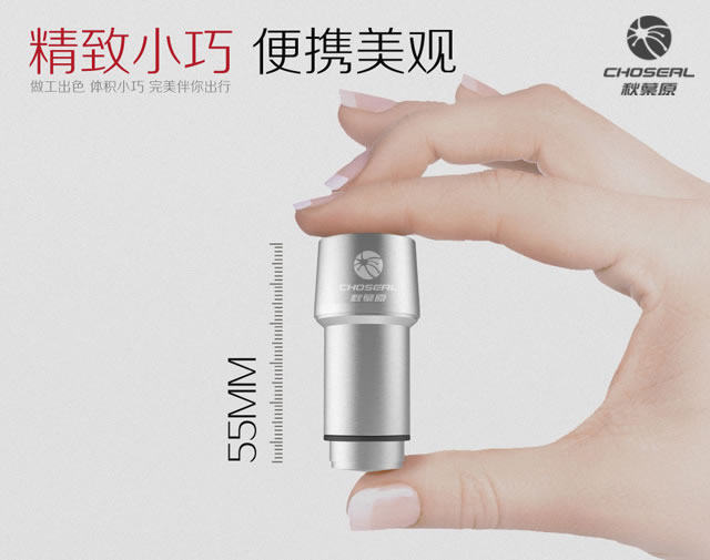 chargeur CHOSEAL 2A - Ref 1299696 Image 10