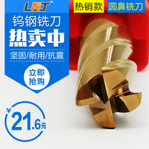 LNT solid alloy tungsten steel knife 55 degrees four-edged round nose milling cutter 1-20 two-edged coated groove end milling cutter lengthened