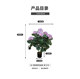 Nordic Artificial Hydrangea Tree Plant Potted Plant ins Pastoral French-Style Ornament Commercial Decoration Korean Style with Flower Pot