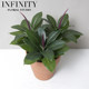 Nordic Home Potted Green Plant Ornaments Indoor Decoration Artificial Oak Tree Red Clay Flower Pot Desktop ins Style