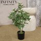 Simulated Rice Orchid Potted Green Leaf Plant Desktop Ornament Modern Minimalist Style Indoor Landscaping Home Decoration