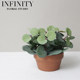 Nordic Artificial Plant Eucalyptus Small Potted Plant ins Industrial Office Desk Decoration Fake Grass Korean Style