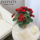 Nordic Artificial Geranium Flower with Red Clay Pot Small Potted Plant French Pastoral Natural Style Home Decoration Ornament