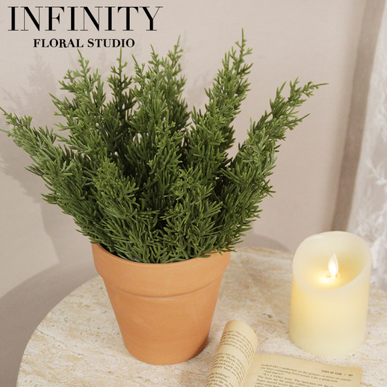 Simulated Pine Needle Cypress Plant Potted Christmas Decoration Ornament Home Desktop Green Plant Pot with Red Clay Flower Pot